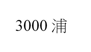 3000 logo