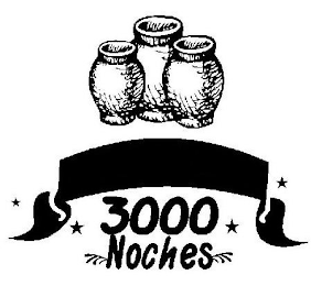 3000 NOCHES logo