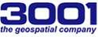 3001 THE GEOSPATIAL COMPANY logo