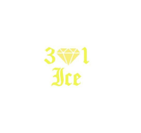 301 ICE logo