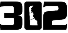 302 logo