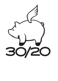 30/20 logo