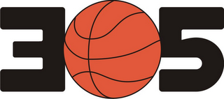 305 logo