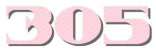 305 logo