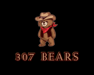 307 BEARS logo