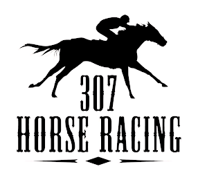 307 HORSE RACING logo