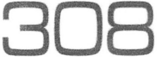 308 logo