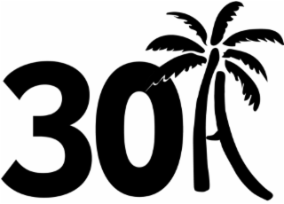 30A logo