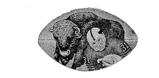 31 logo