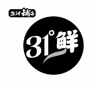 31° logo