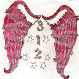 312 logo