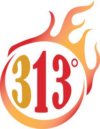 313° logo