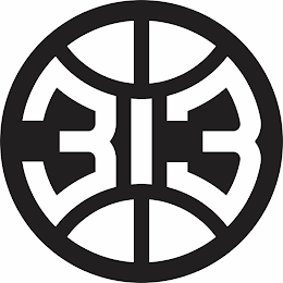 313 logo