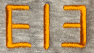 313 logo