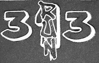 313 RUN logo