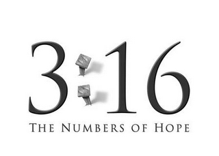 316 THE NUMBERS OF HOPE logo