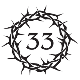 33 logo