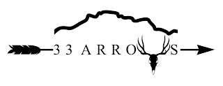 33 ARROWS logo