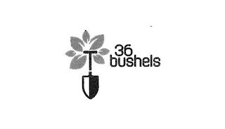 36 BUSHELS logo