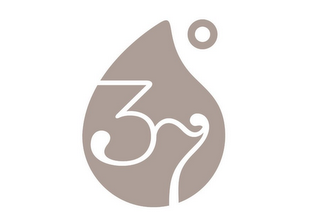 37° logo
