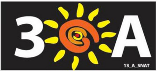 39A 13_A_SNAT logo
