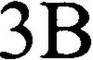 3B logo