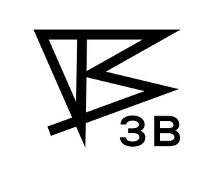 3B logo