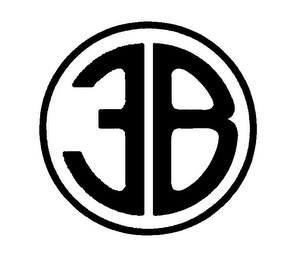 3B logo