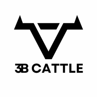 3B CATTLE logo