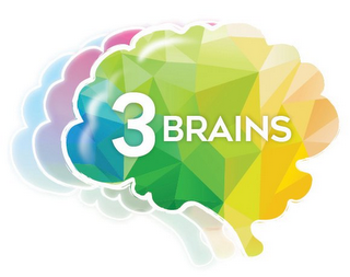 3BRAINS logo