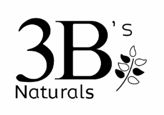 3B'S NATURALS logo