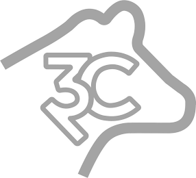 3C logo