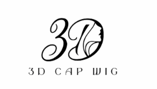 3D CAP WIG logo
