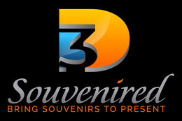 3D SOUVENIREDBRING SOUVENIRS TO PRESENT logo