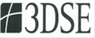 3DSE
