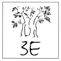 3E logo