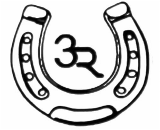 3R logo
