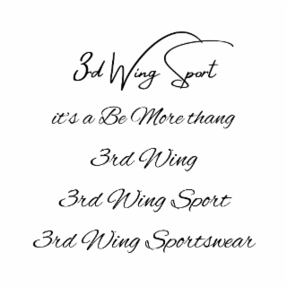 3RD WING SPORT, IT'S A BE MORE THANG, 3RD WING, 3RD WING SPORT, 3RD WING SPORTSWEAR logo