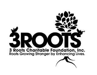3ROOTS 3ROOTS CHARITABLE FOUNDATION, INC. ROOTS GROWING STRONGER BY ENHANCING LIVES. logo