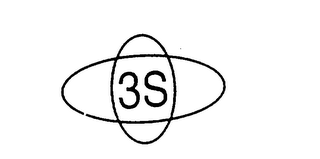 3S logo