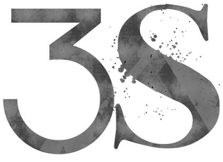 3S logo