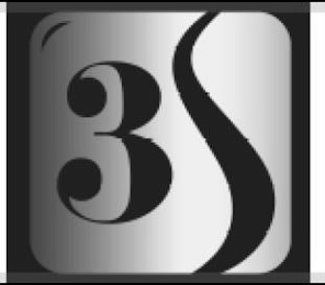 3S logo