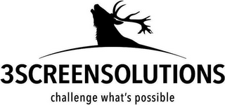 3SCREENSOLUTIONS CHALLENGE WHAT'S POSSIBLE logo