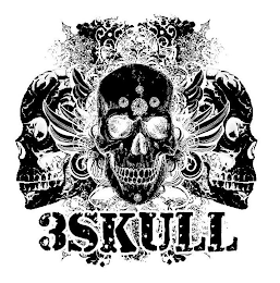 3SKULL logo