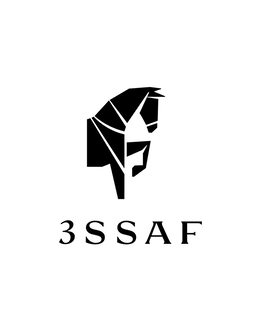 3SSAF