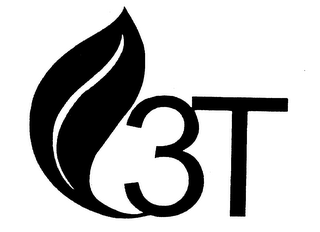 3T logo