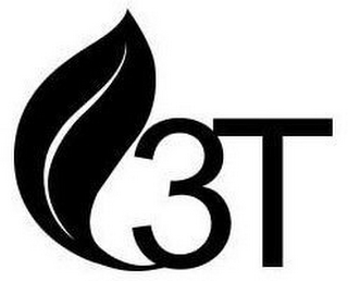 3T logo