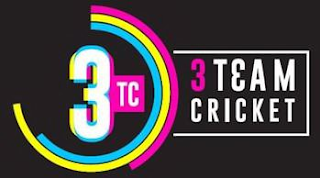 3TC 3 TEAM CRICKET logo