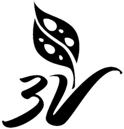 3V logo