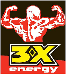 3X ENERGY logo